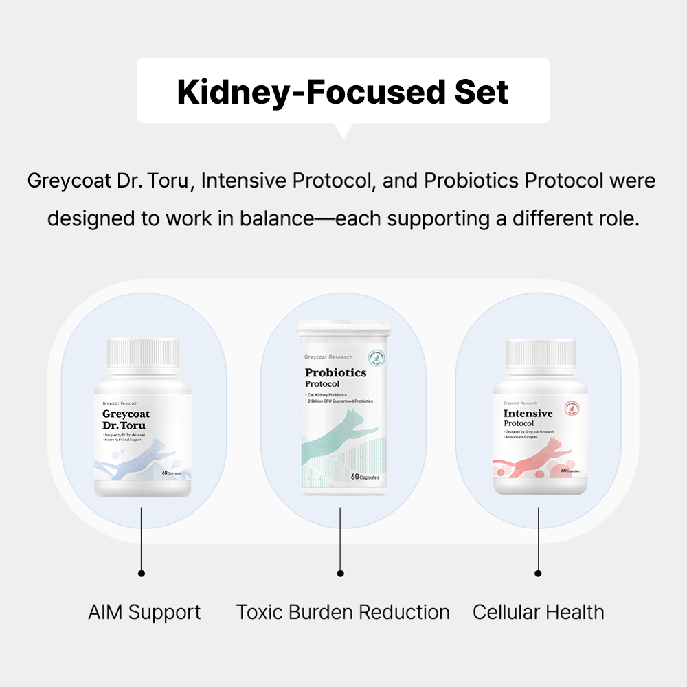 ドクター・トオル プロトコル