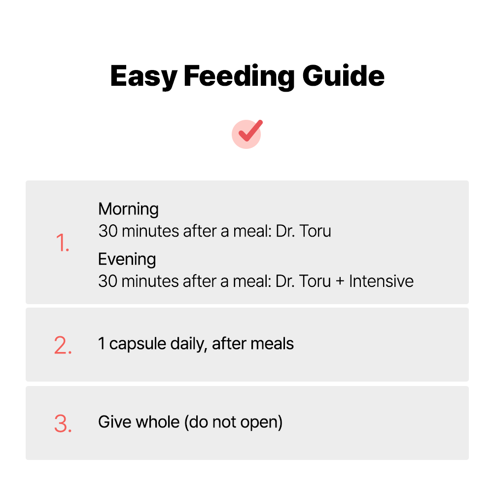 インテンシブプロトコル