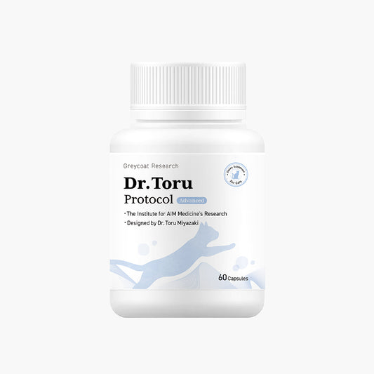 Dr. Toru Protocol cat kidney disease supplement for renal health support