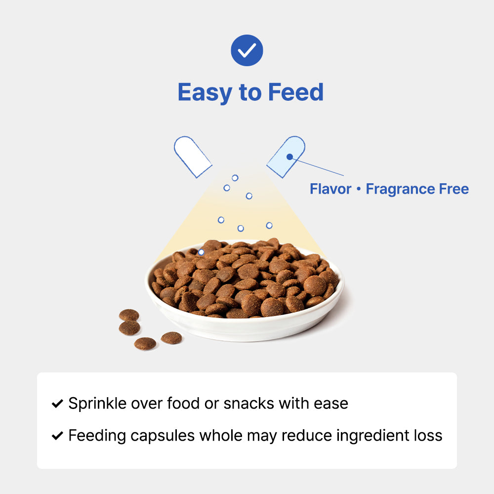 Dr. Toru Protocol cat kidney disease supplement for renal health support