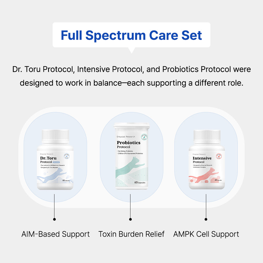 Dr. Toru Protocol cat kidney disease supplement for renal health support