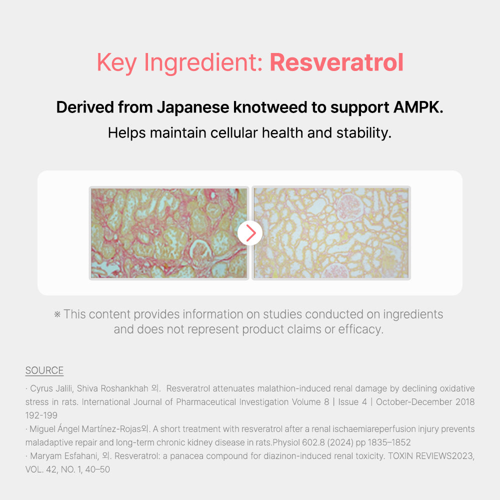 Intensive Protocol cat kidney supplement for critical kidney disease care