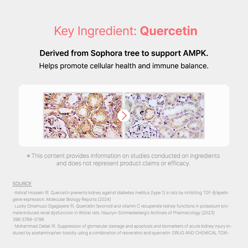 Intensive Protocol cat kidney supplement for critical kidney disease care