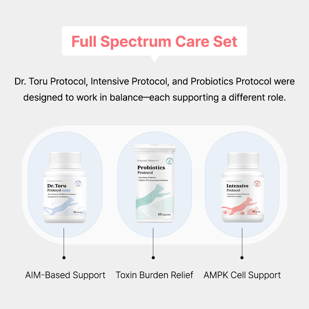 Intensive Protocol cat kidney supplement for critical kidney disease care