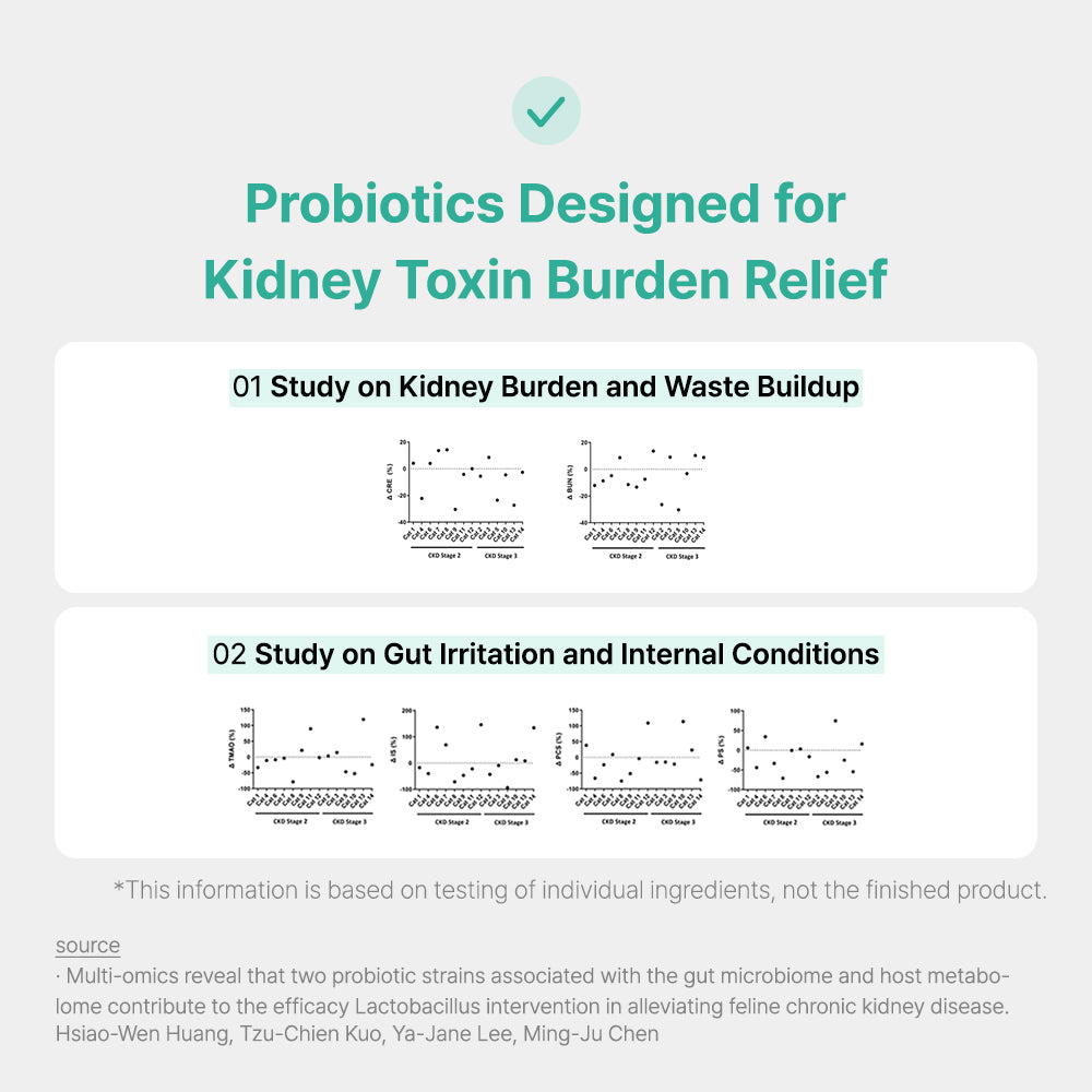 Greycoat Research Probiotics Protocol for Cats – Supports gut health and toxin elimination