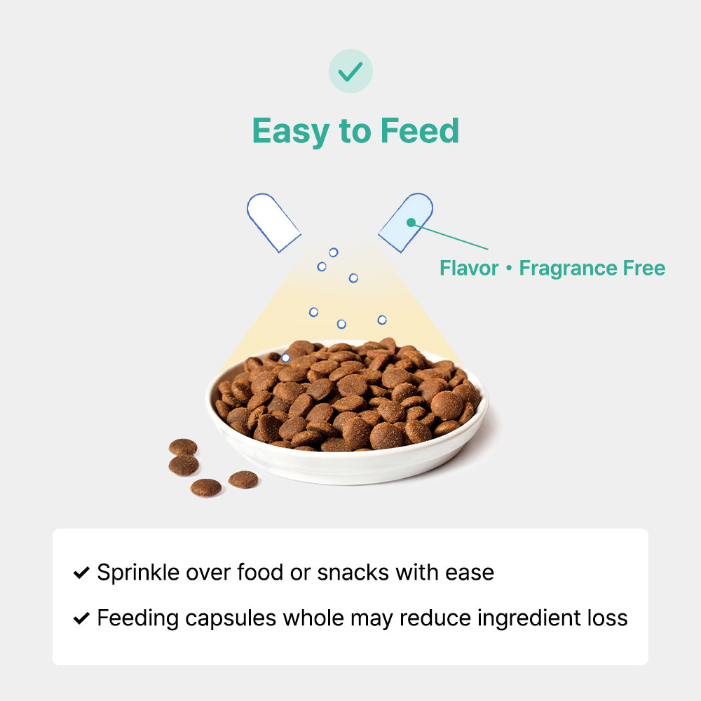 Greycoat Research Probiotics Protocol for Cats – Supports gut health and toxin elimination