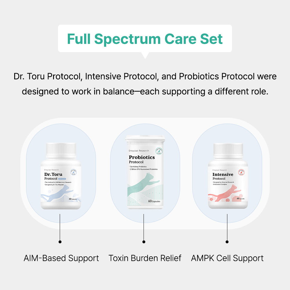 Greycoat Research Probiotics Protocol for Cats – Supports gut health and toxin elimination