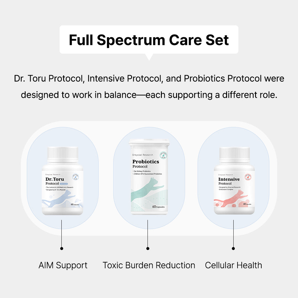 Greycoat Research Kidney Care Supplement Set for Cats – Includes Dr. Toru Protocol, Intensive Protocol, and Probiotics for kidney support