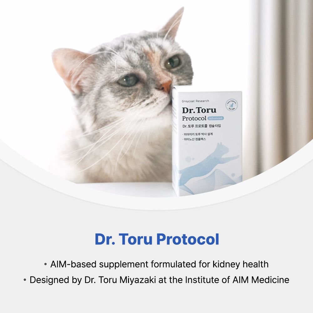 Greycoat Research Kidney Care Supplement Set for Cats – Includes Dr. Toru Protocol, Intensive Protocol, and Probiotics for kidney support