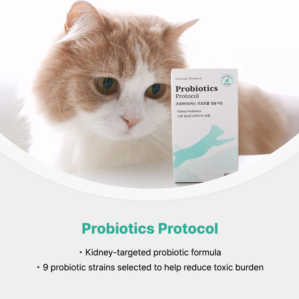 Greycoat Research Kidney Care Supplement Set for Cats – Includes Dr. Toru Protocol, Intensive Protocol, and Probiotics for kidney support