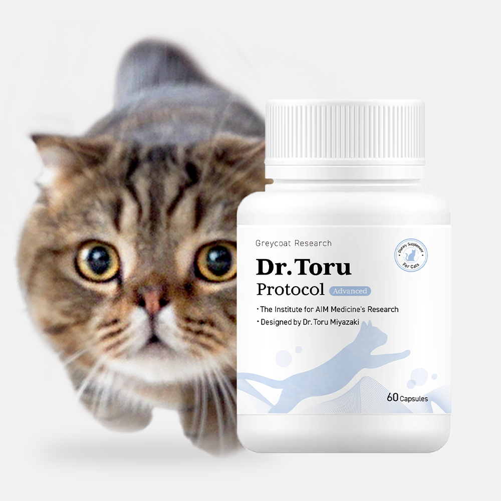 Dr. Toru Protocol | AIM Kidney Support for Cats – Greycoat Research