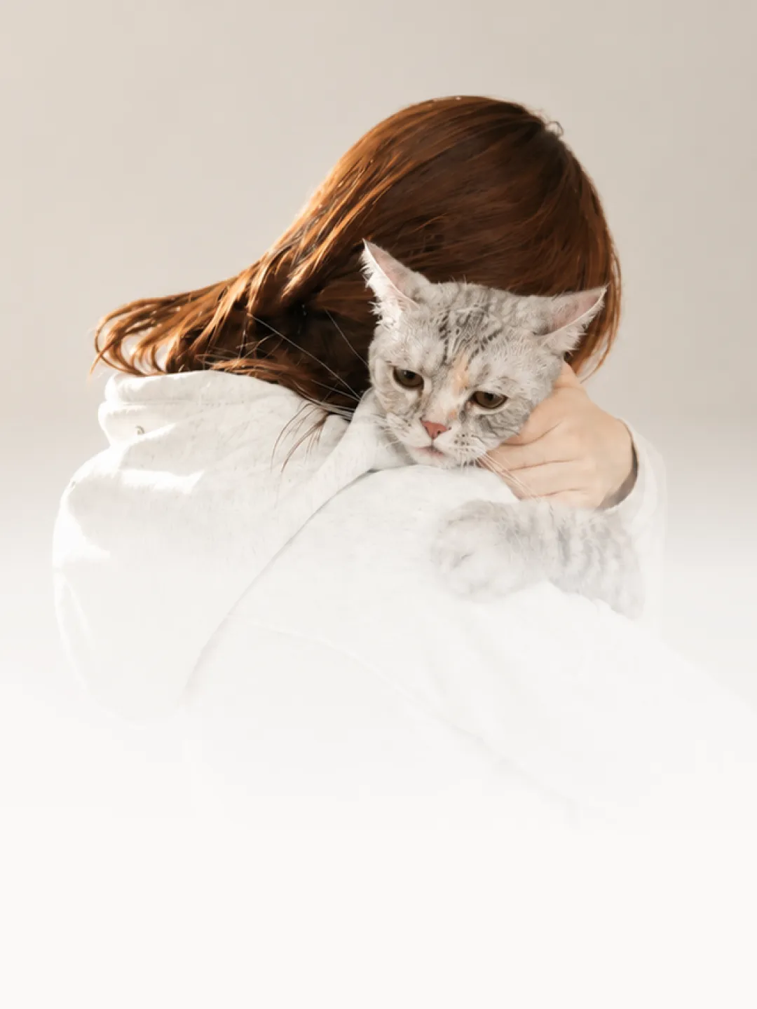 A cat waiting calmly in a morning kitchen