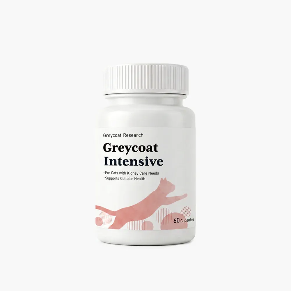 Greycoat Intensive