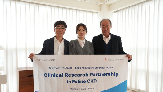 Greycoat Research Strengthens Clinical R&D Through Strategic Advisory Partnership in Japan