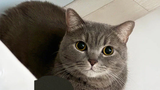 Byeol’s Care Story – One Month of Steady Monitoring