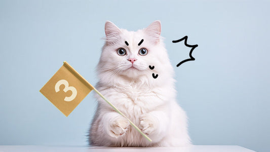 Guide to Feline CKD Care - Stage 3