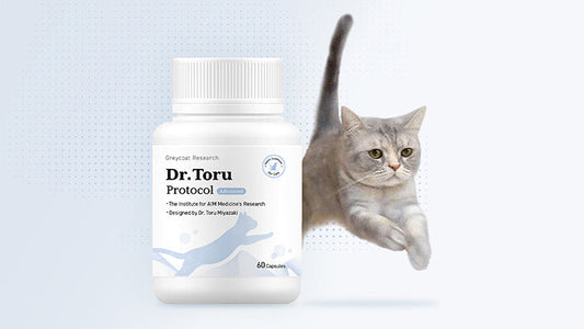 Global Shipping Update: Average Delivery Times