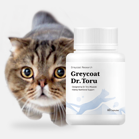 Greycoat Dr. Toru