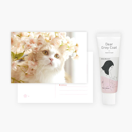 Cat Postcard Collection & Hand Cream