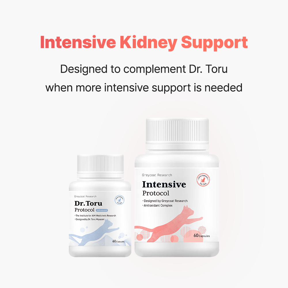 インテンシブプロトコル