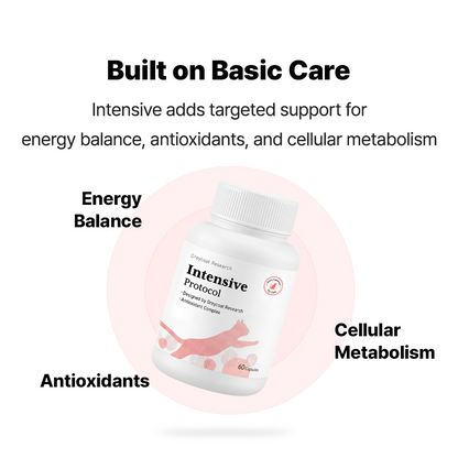 インテンシブプロトコル