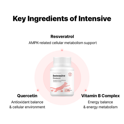 インテンシブプロトコル