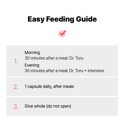 インテンシブプロトコル