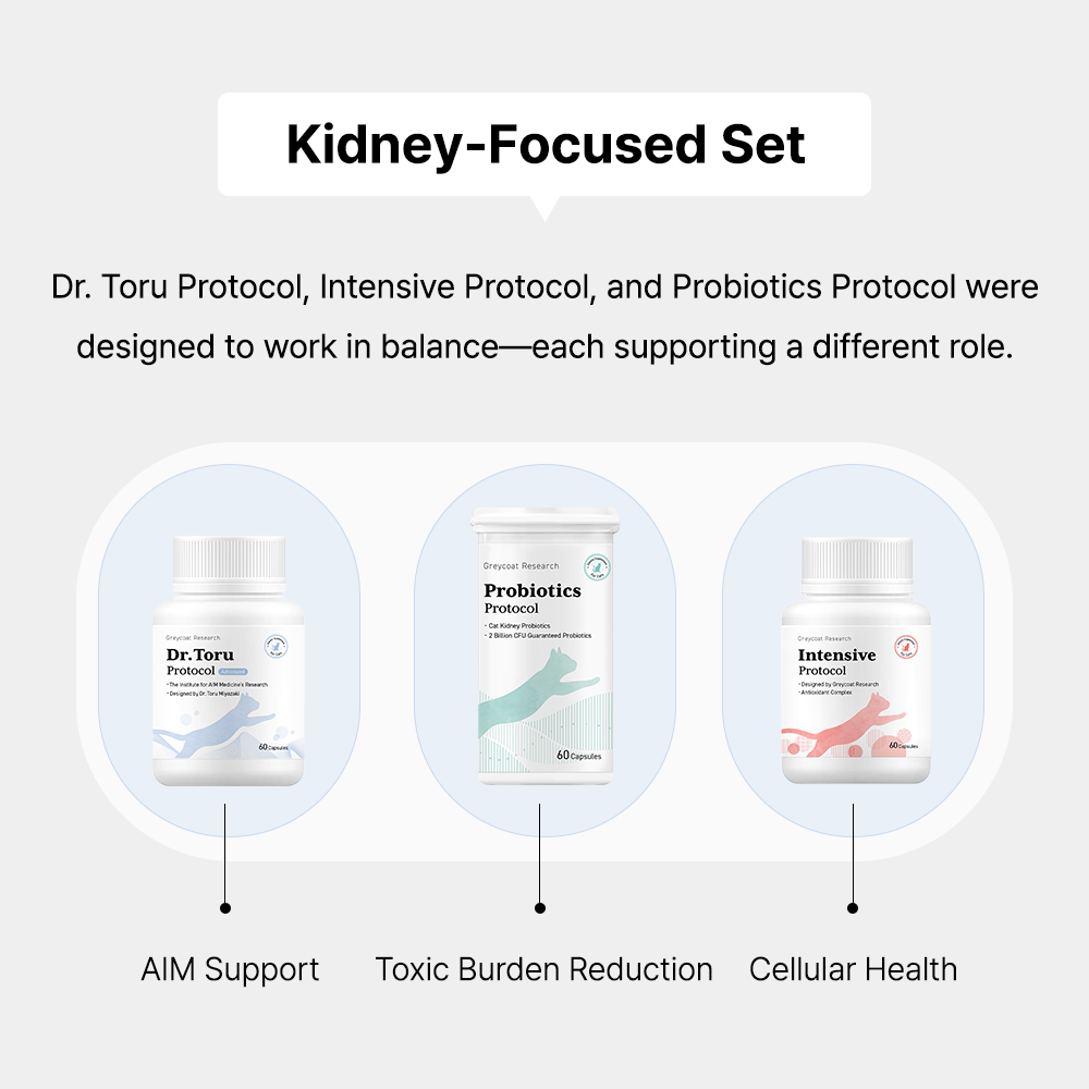 Kidney-Focused Set