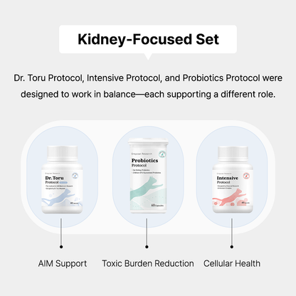 Kidney-Focused Set