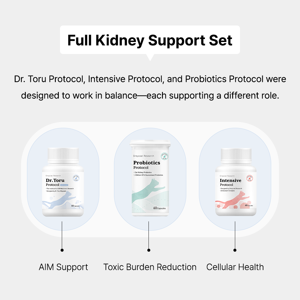 Full Kidney Support Set