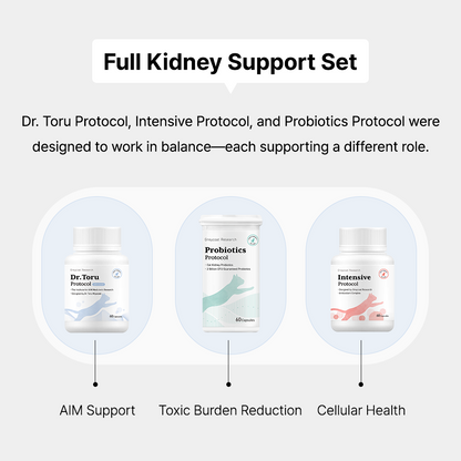Full Kidney Support Set