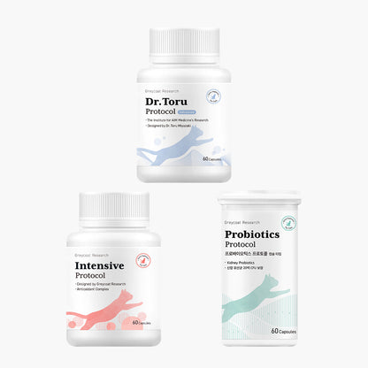 Kidney Support Program