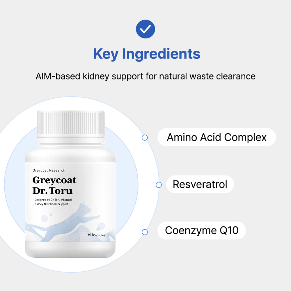 ドクター・トオル プロトコル