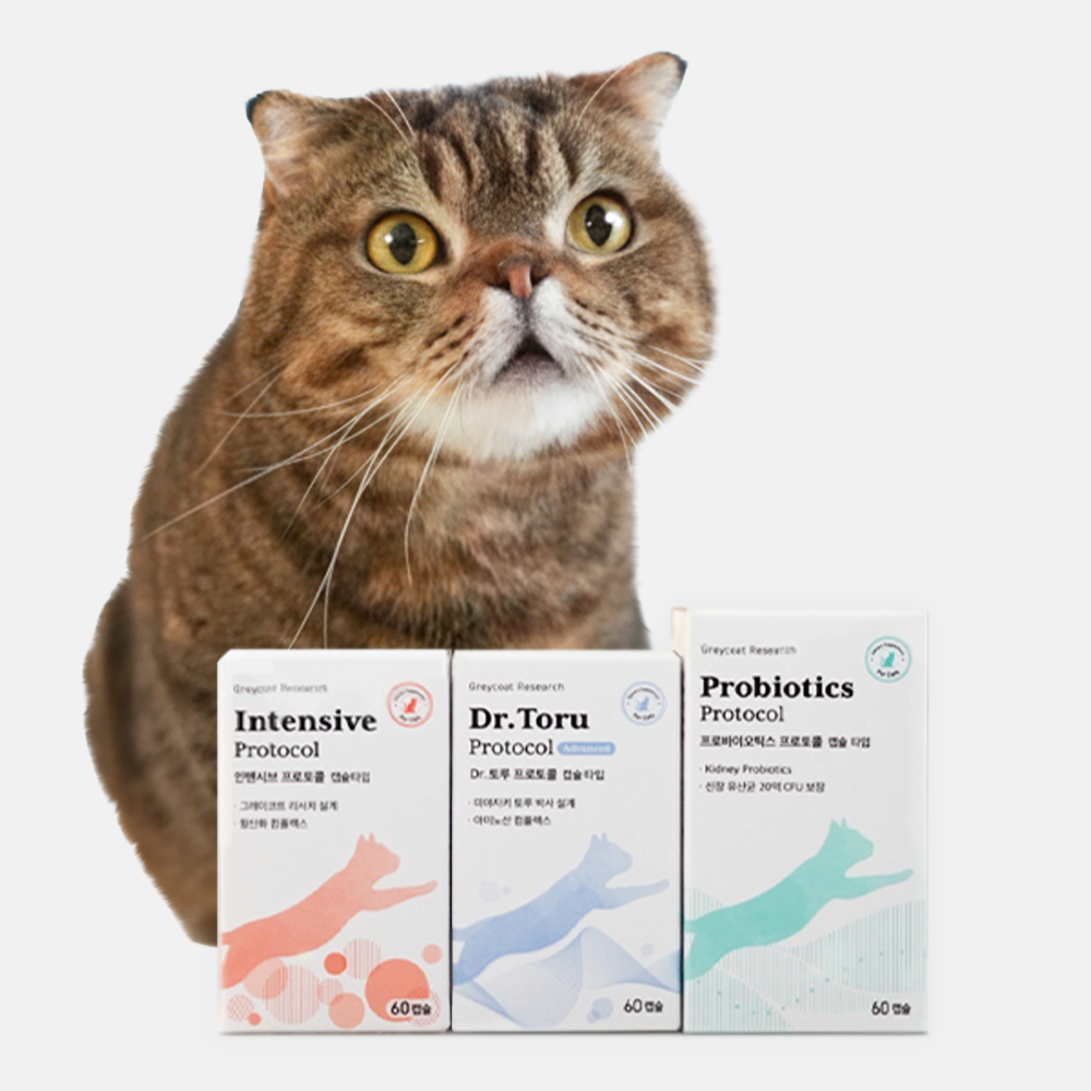 Full Kidney Support Set