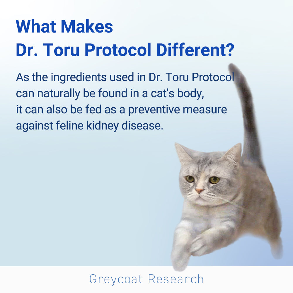 Dr. Toru Protocol