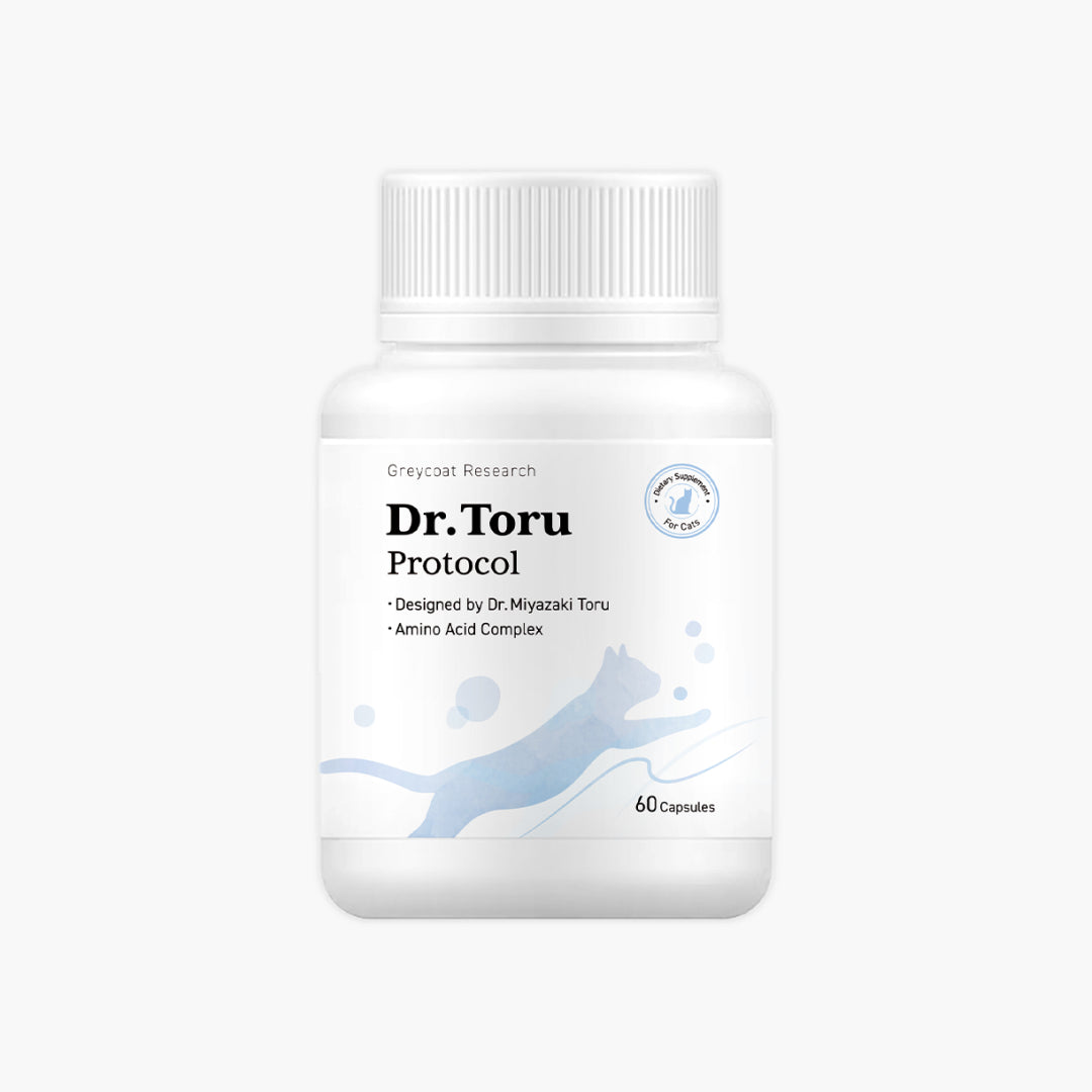 Dr. Toru Protocol cat kidney disease supplement for renal health support