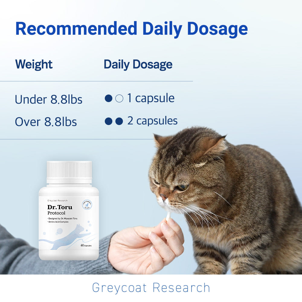 Natural cat kidney health supplement co-developed by Greycoat Research