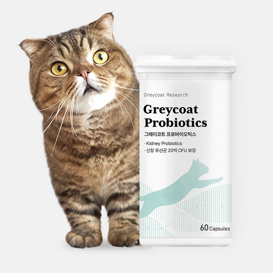 Greycoat Probiotics