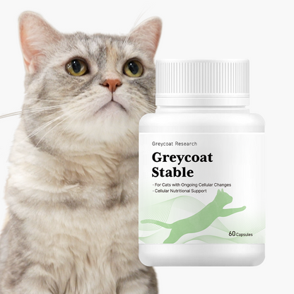 Greycoat Stable
