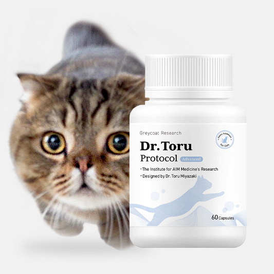 Dr. Toru Protocol