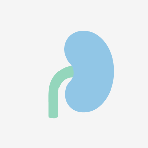 Kidney-Focused