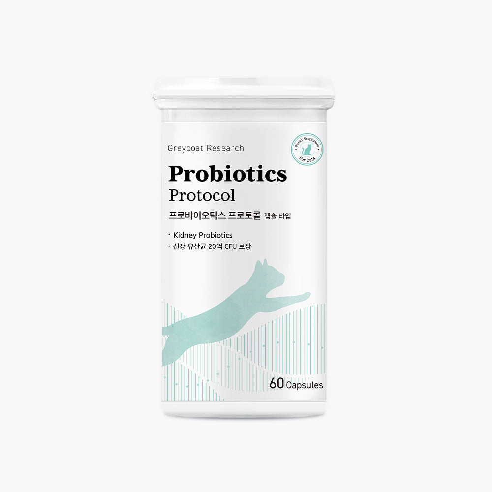 Probiotika-Protokoll